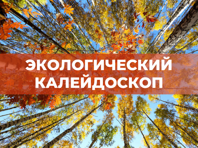 Экологическая неделя - МБОУ Лакедемоновская СОШ